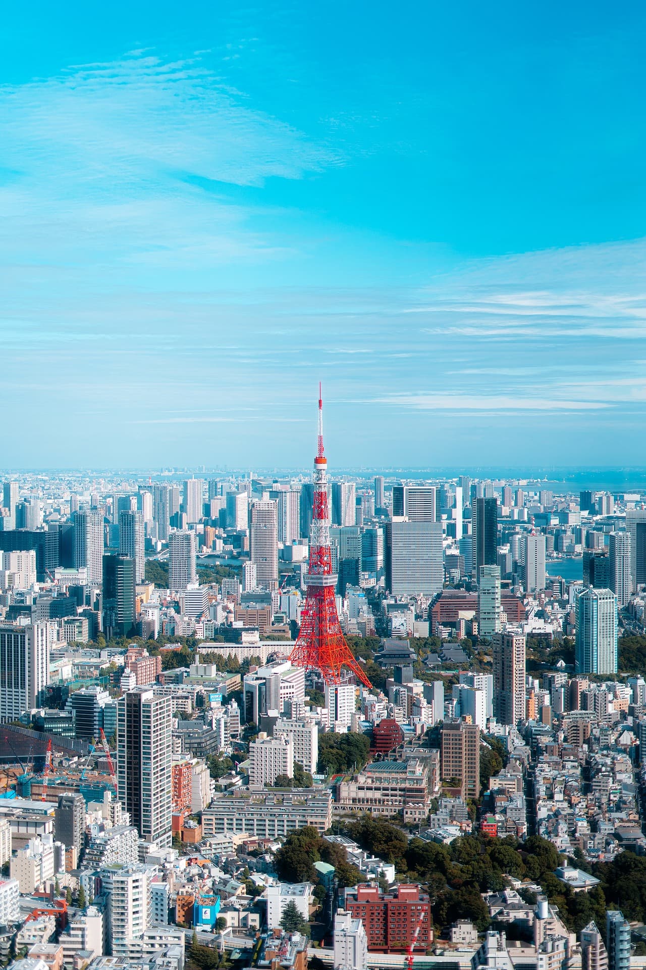 Tokyo skyline at dusk